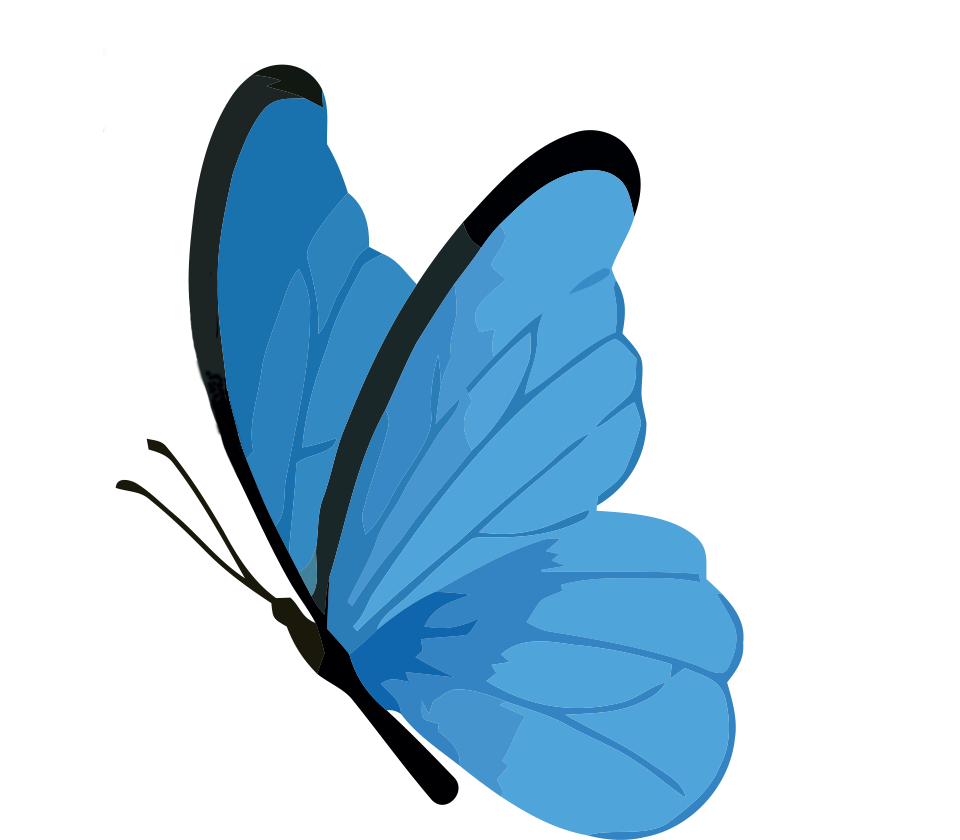 Mariposa
